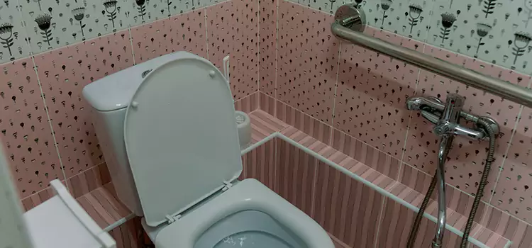 Meeting Diverse Needs With Accessible Restroom Solutions in Sanger, CA